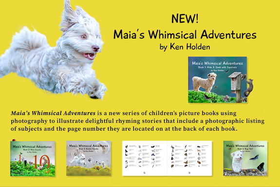 Image of Author Maia's Whimsical Adventures