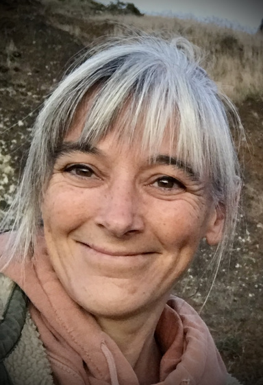 Image of Author EK Bayer