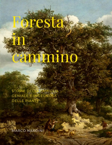 Foresta in cammino