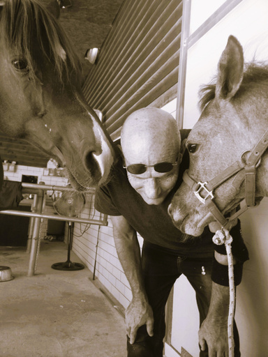 Image of Author Dr T.R. Menis, equine veterinary, Arabian Horse