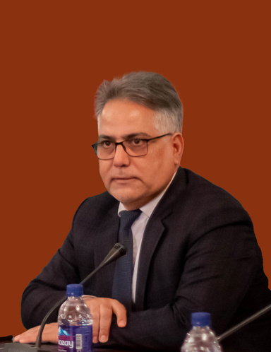 Image of Author M. Afzali