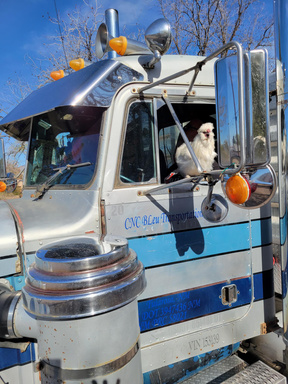 Image of Author Dr. Rebecca Michael