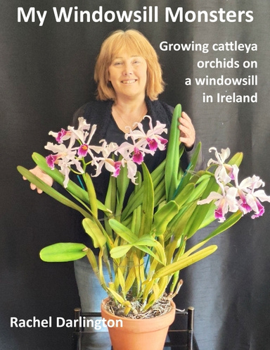 My Windowsill Monsters