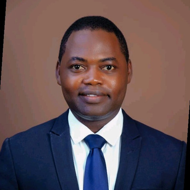 Image of Author Abiodun Fawole