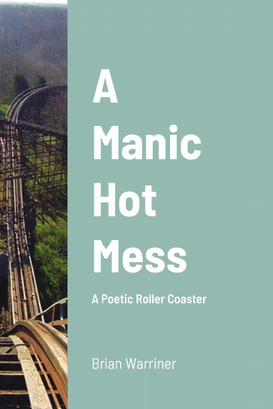 A Manic Hot Mess A Poet Roller Coaster