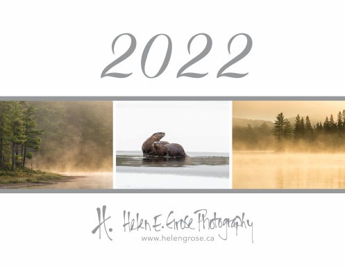 Algonquin Park & Muskoka Nature & Wildlife Calendar 2022