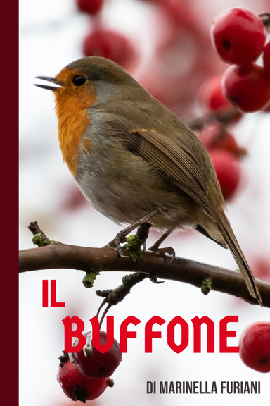 IL BUFFONE