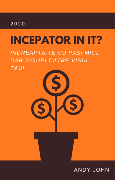 Beginner in IT?