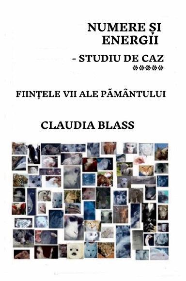 Numere si Energii - Studiu de Caz *****
