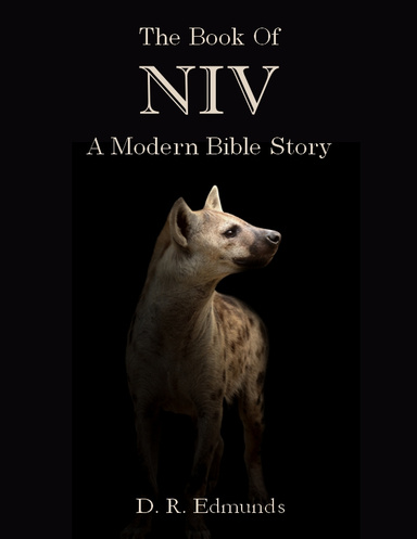 The Book Of Niv A Modern Bible Story