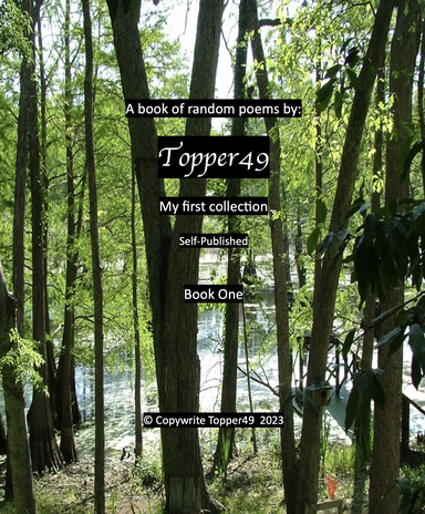 A book of random poems by: Topper49