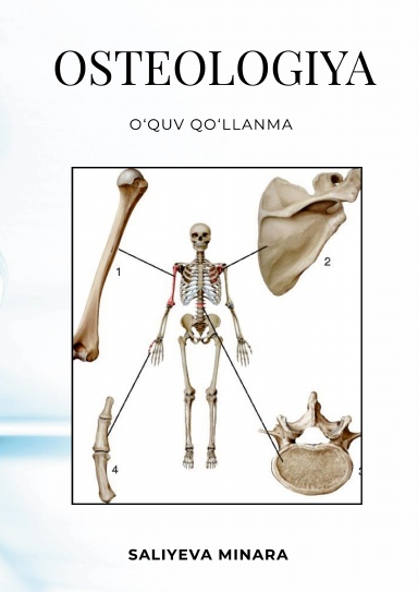 OSTEOLOGIYA