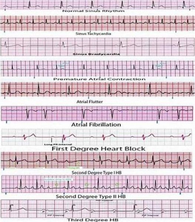 Guide for ER Patients