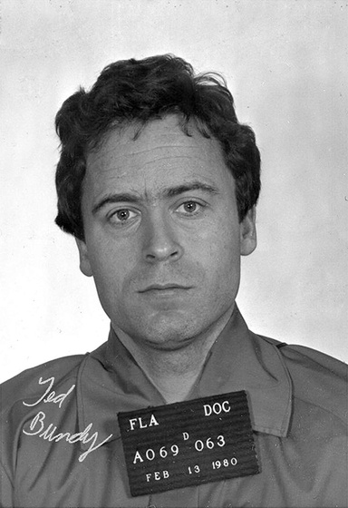 Unmasking Evil: The Ted Bundy Chronicles