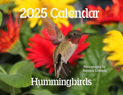 2025 Hummingbirds with Scripture