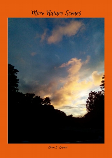 More Nature Scenes