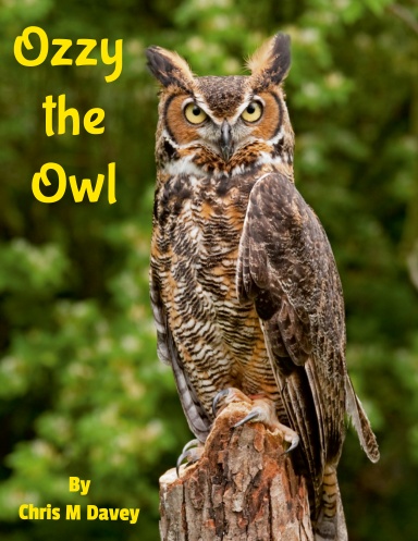 Ozzy the Owl