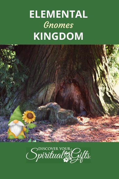 Elemental Kingdom: Gnomes