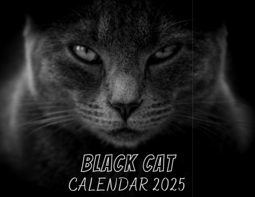 Black Cat Calendar 2025
