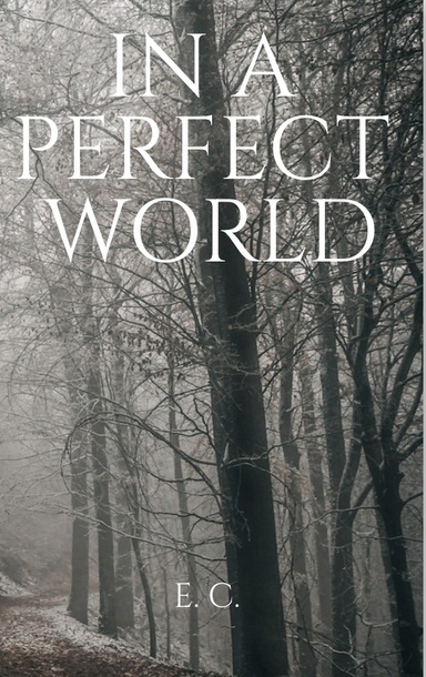 In a Perfect World