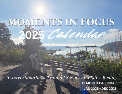 Moments in Focus Twelve Months of Tranquil Scenes and Life's Beauty