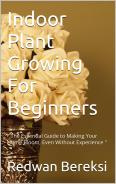 Indoor Plant Growing For Beginners