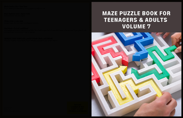 MAZE PUZZLE BOOK FOR TEENAGERS AND ADULTS  VOLUME 7