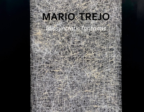 Mario Trejo: Idiosyncratic Tantrums