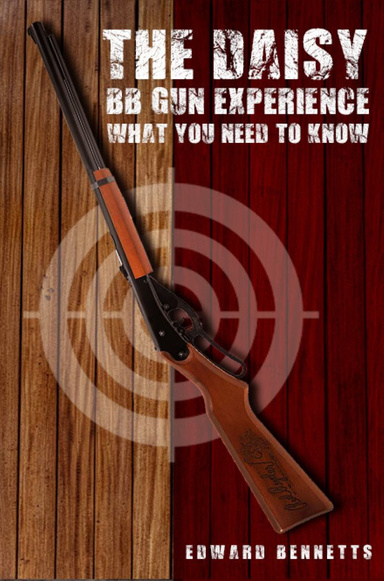 The Daisy BB Gun Experience