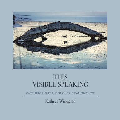 This Visible Speaking: Catching Light Through The Camera's Eye