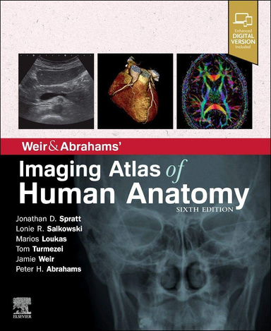 健康・医学 ATLAS OF HUMAN ANATOMY 6th EDITION Atlas of Human Anatomy: Frank H. Netter: 9780808924517