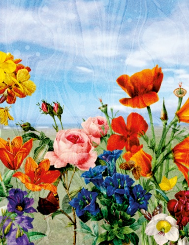 Flowers / Spiral Notebook, Journal / US Letter (8.5x11) Dots Grid / 200 pages Cream Paper / Glossy Finish Cover