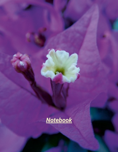 Purple Flower /Journal Notebook / US Letter (8.5x11) / 100 pages College Ruled