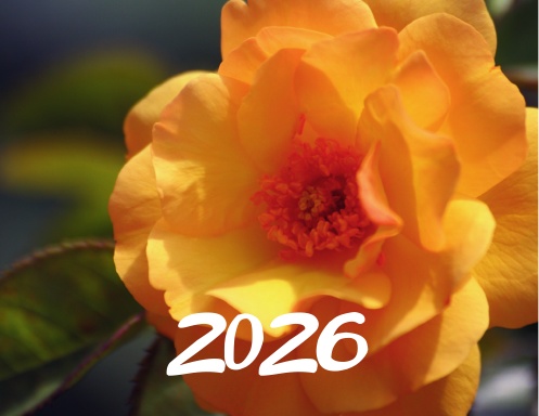 Calendar 2026