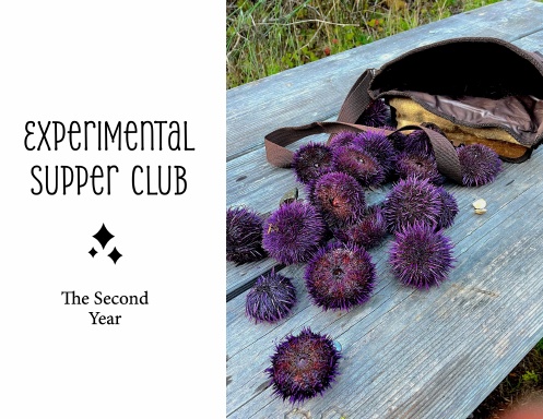 Experimental Supper Club: Year 2