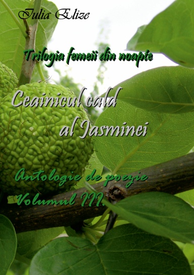 Iulia Elize - Ceainicul cald al Jasminei (Trilogia femeii din noapte, Vol. III.)