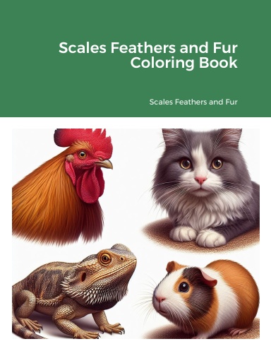Scales Feathers and Fur Coloring Book