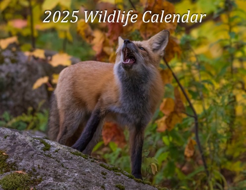 2025 wildlife Calendar