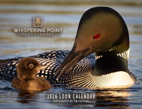 2026 Whispering Point Photography Loon Calendar