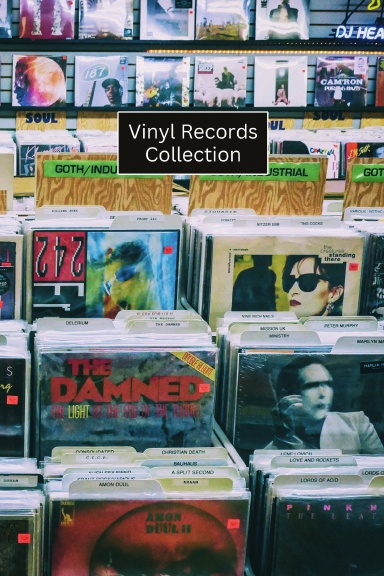 Vinyl Record Collecting Book