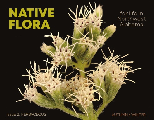 NATIVE FLORA 2