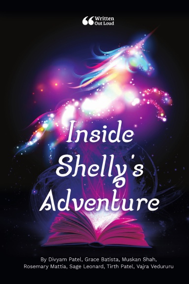 Inside Shelly's Adventure