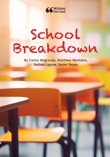 School Breakdown