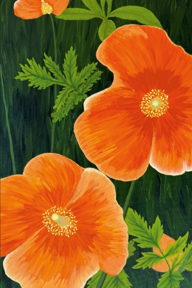 Notebook - Orange Poppies