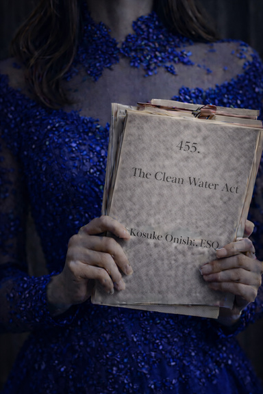 The Clean Water Act