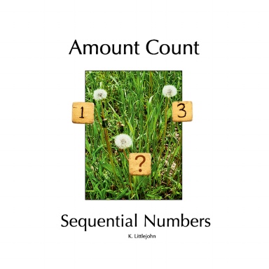 Amount Count  Sequential Numbers