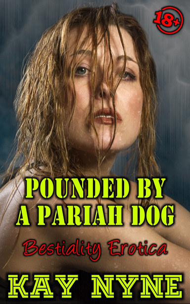 Pounded By A Pariah Dog