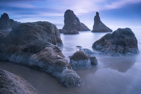 Shadows Of The Coast