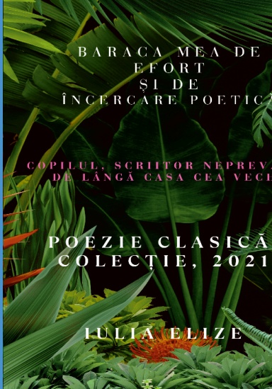 Iulia Elize - Baraca mea de efort și de încercare poetică (Poezie clasică, colecție deosebită)