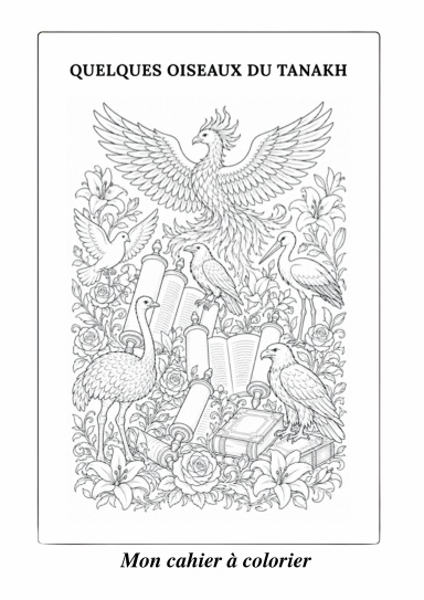 Quelques oiseaux du Tanakh